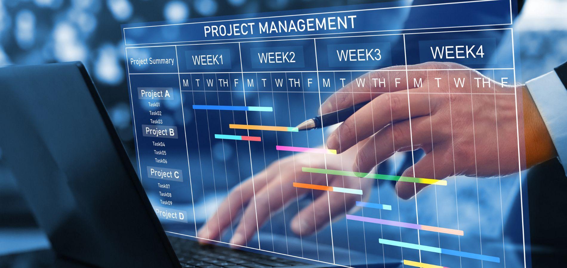 Project Management Tips